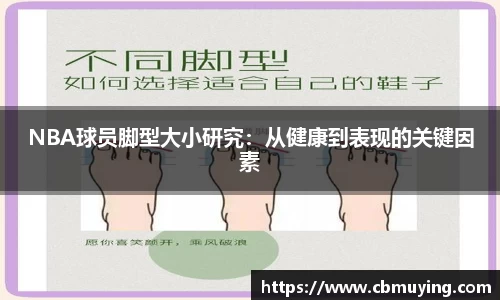 星空综合股份(中国)